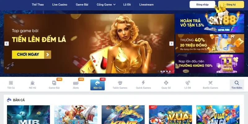 FAQ - Lỗi hay gặp khi đăng nhập Sky88